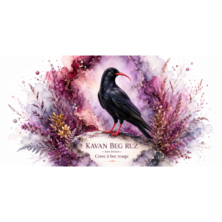 Mug Crave à bec rouge « KAVAN BEG RUZ » – Bretagne – Collection La Faune des Régions