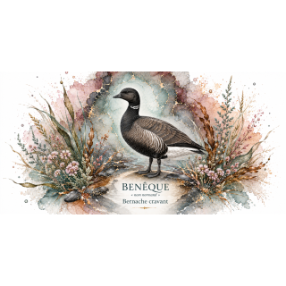 Mug Bernache cravant « Benèque » – Normandie – Collection La Faune des Régions