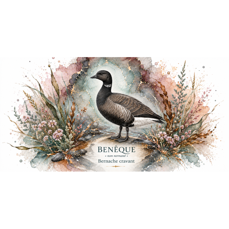 Mug Bernache cravant « Benèque » – Normandie – Collection La Faune des Régions