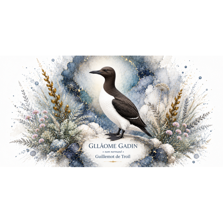 Mug Guillemot de Troïl « GLÂOME GADIN » – Normandie – Collection La Faune des Régions