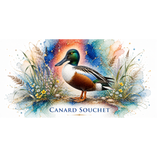 Mug Canard souchet – Pays de la Loire – Collection La Faune des Régions