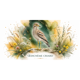 Mug Œdicnème criard – Pays de la Loire – Collection La Faune des Régions