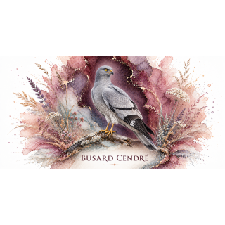Mug Busard cendré – Pays de la Loire – Collection La Faune des Régions