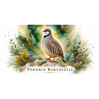 Mug Perdrix bartavelle – Provence-Alpes-Côte d’Azur – Collection La Faune des Régions