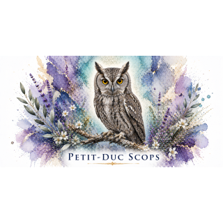 Mug Petit-duc scops – Provence-Alpes-Côte d’Azur – Collection La Faune des Régions