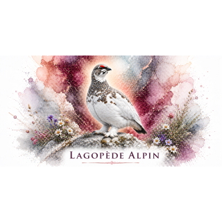 Mug Lagopède alpin – Auvergne-Rhône-Alpes – Collection La Faune des Régions