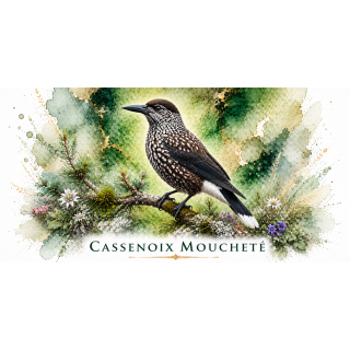 Mug Cassenoix moucheté – Auvergne-Rhône-Alpes – Collection La Faune des Régions