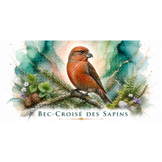 Mug Bec-croisé des sapins – Bourgogne-Franche-Comté – Collection La Faune des Régions