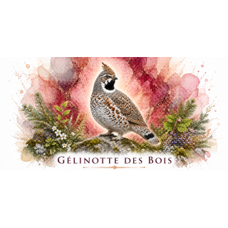 Mug Gélinotte des bois – Bourgogne-Franche-Comté – Collection La Faune des Régions