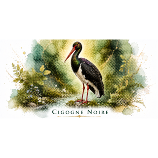 Mug Cigogne noire – Bourgogne-Franche-Comté – Collection La Faune des Régions