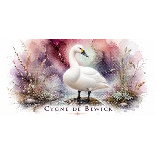 Mug Cygne de Bewick – Grand Est – Collection La Faune des Régions