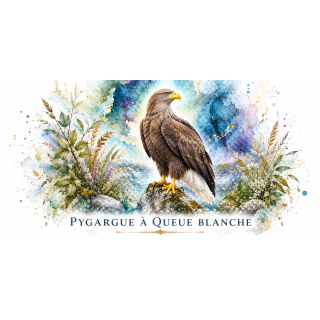 Mug Pygargue à queue blanche – Grand Est – Collection La Faune des Régions
