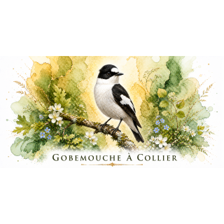 Mug Gobemouche à collier – Grand Est – Collection La Faune des Régions
