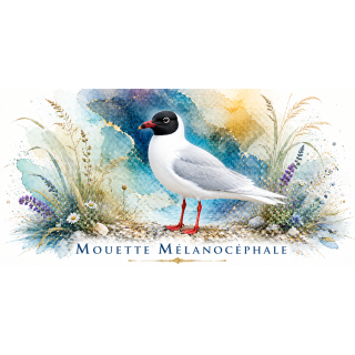 Mug Mouette mélanocéphale – Hauts-de-France – Collection La Faune des Régions