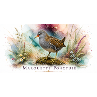Mug Marouette ponctuée – Hauts-de-France – Collection La Faune des Régions
