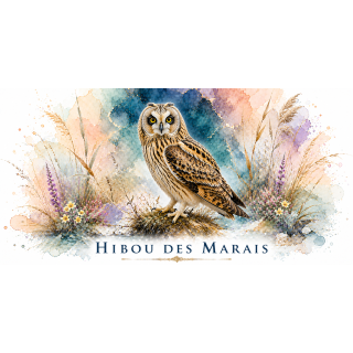 Mug Hibou des marais – Hauts-de-France – Collection La Faune des Régions