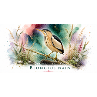 Mug Blongios nain – Hauts-de-France – Collection La Faune des Régions
