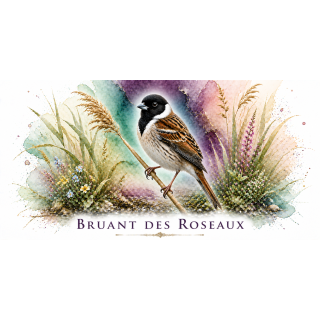 Mug Bruant des roseaux – Hauts-de-France – Collection La Faune des Régions
