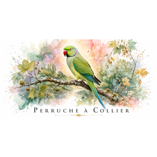Mug Perruche à collier – Île-de-France – Collection La Faune des Régions