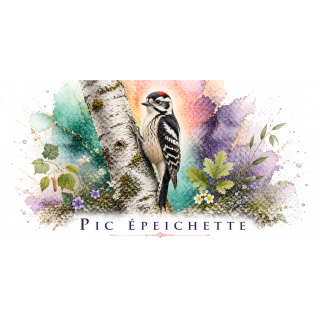 Mug Pic épeichette – Île-de-France – Collection La Faune des Régions