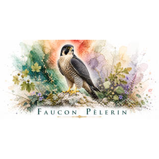 Mug Faucon pèlerin – Île-de-France – Collection La Faune des Régions