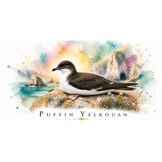 Mug Puffin yelkouan – Corse – Collection La Faune des Régions