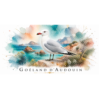 Mug Goéland d’Audouin – Corse – Collection La Faune des Régions