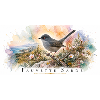 Mug Fauvette sarde – Corse – Collection La Faune des Régions
