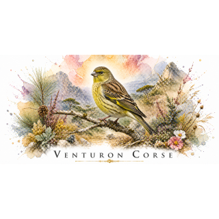 Mug Venturon corse – Corse – Collection La Faune des Régions