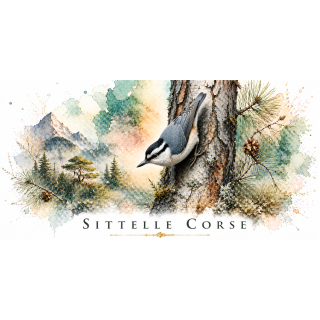 Mug Sittelle corse – Corse – Collection La Faune des Régions